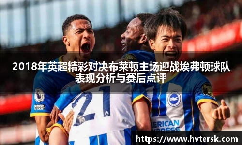 2018年英超精彩对决布莱顿主场迎战埃弗顿球队表现分析与赛后点评